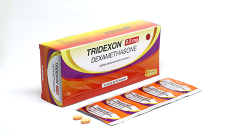 Tridexon dexamethasone 0 5 mg obat apa
